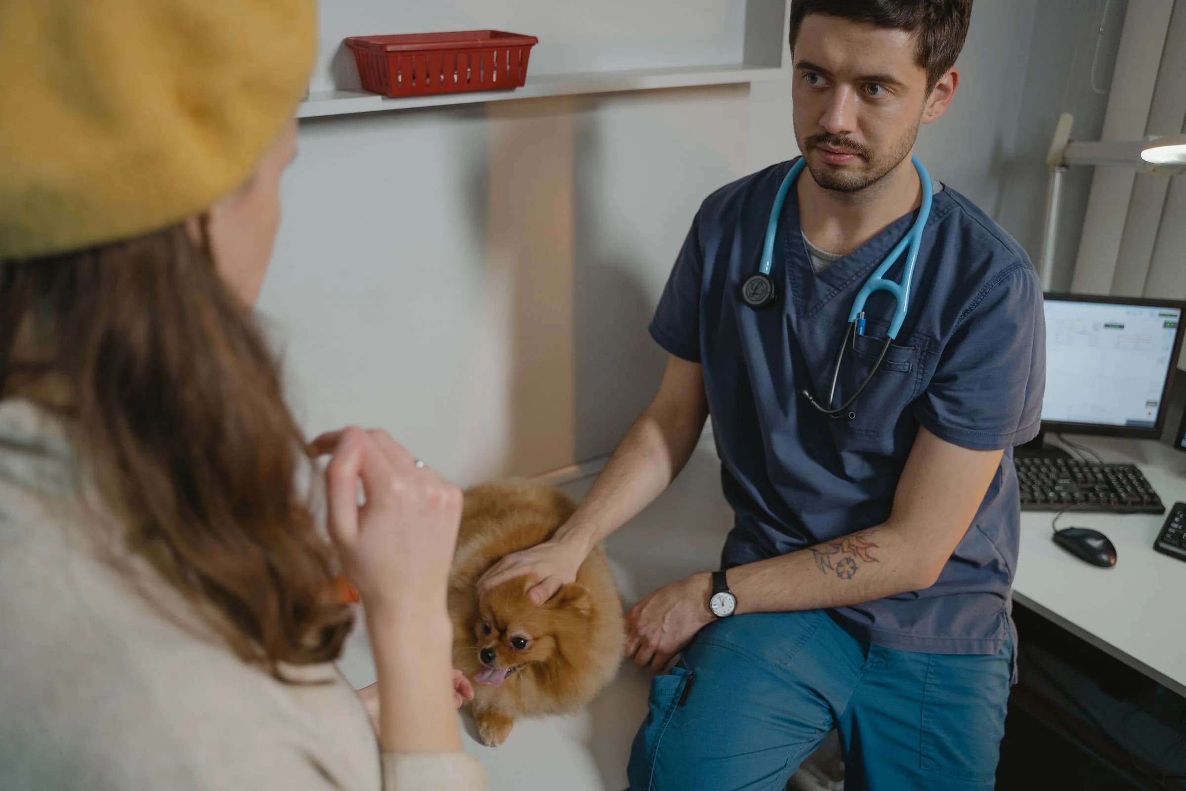 Un veterinario comenta a la dueña de un pomeranian cómo está su perro durante la consulta.